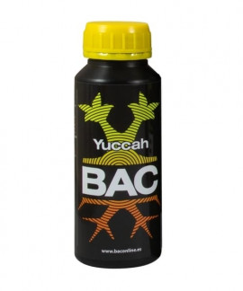 Yuccah online comprar Yuccah