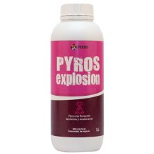 Pyros Explosion