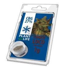 Hash Polen Solid 27% CBG 1 gr Plant of Life