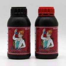 Maria Solutions Bloom A+B