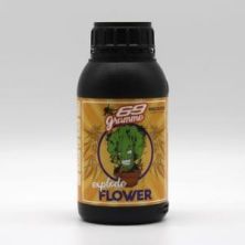 Maria solution Explode