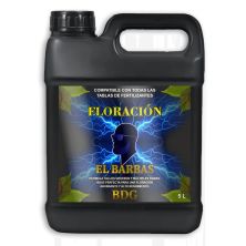 El Barbas BDG Floracion