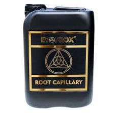 Evoprox Root Cpillary