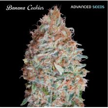Banana Cookies de Advanced Seeds