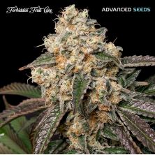 Forbidden Fruit Cake de Advanced Seeds