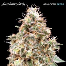 Auto Forbidden Fruit Cake de Advanced Seeds