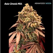 Auto Zerealz Milk de Advanced Seeds