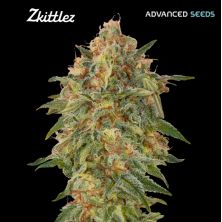 Zkittlez de Advanced Seeds