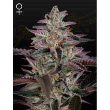 Banana Krumble de Green House