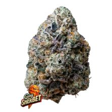 Gary Sherbet de Fast Buds