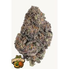 Papayton de Fast Buds