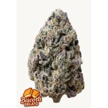 Biscotti Gelato de Fast Buds
