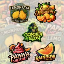 Mix Pack 5 Uds de Fast Buds