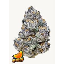 Rainbow Melon de Fast Buds