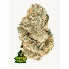 Gorilla Melon de Fast Buds
