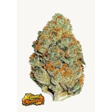 Lemon Mandarin de Fast Buds