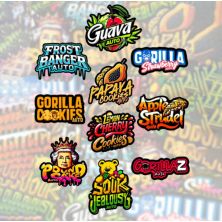 Mix Pack Auto 10 Uds de Fast Buds