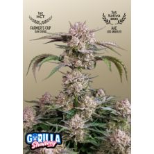 Strawberry Gorilla Auto de Fast Buds