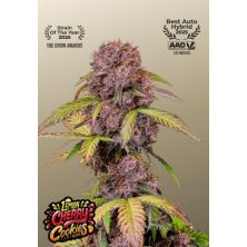 Lemon Cherry Cookies Auto de Fast Buds