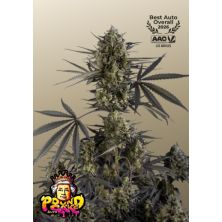 Pound Cake Auto de Fast Buds