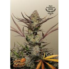 Apple Strudel Auto de Fast Buds
