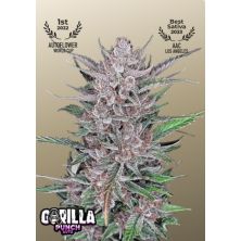 Gorilla Punch Auto de Fast Buds