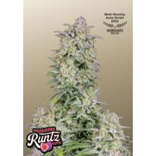 Forbidden Runtz Auto de Fastbuds
