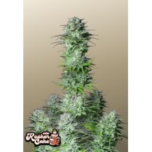 Kosher Cake Auto de Fatbuds