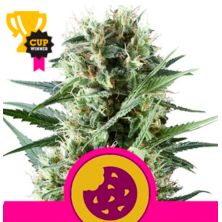 Royal Cookies de Royal Queen