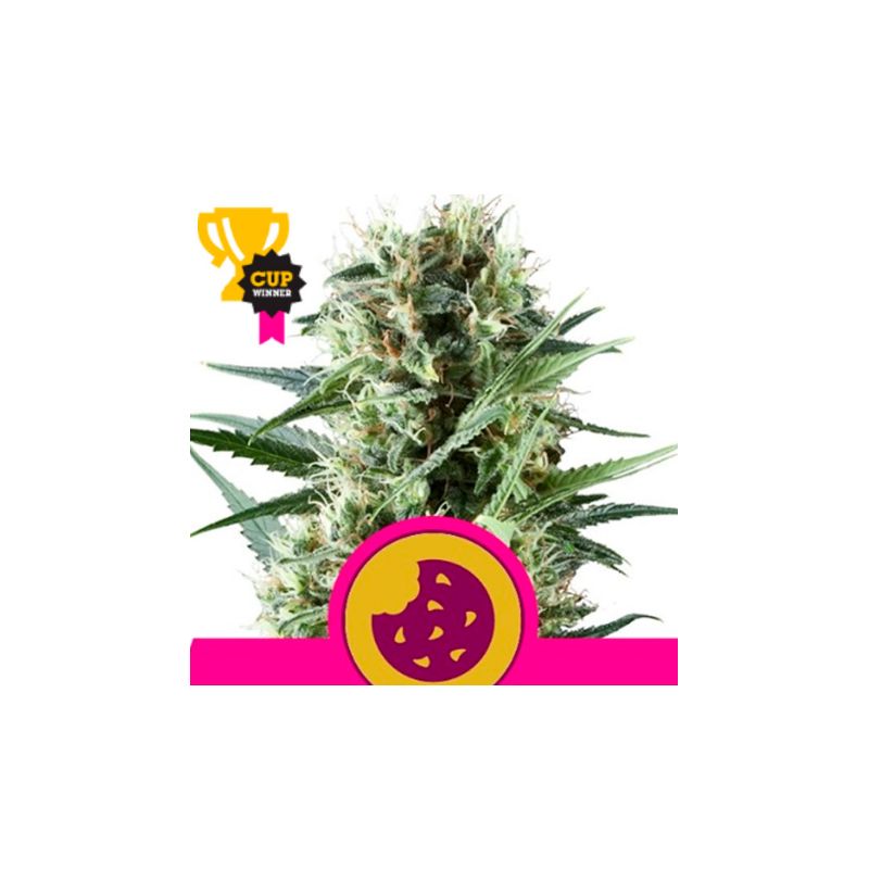 Royal Cookies de Royal Queen