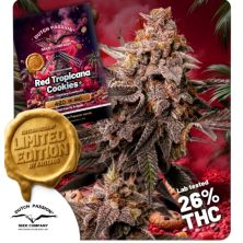 Red Tropicana Cookies de Dutch Passion Limited Edition
