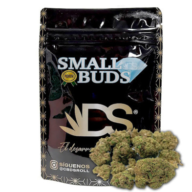 Cañamo Cbdsroll Small Buds Indoor Orange Sherbet