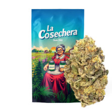 Cañamo Cbd La Cosechera Cheesecake