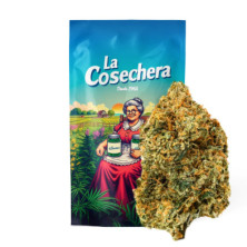 Cañamo Cbd La Cosechera Girl Scout Cookies