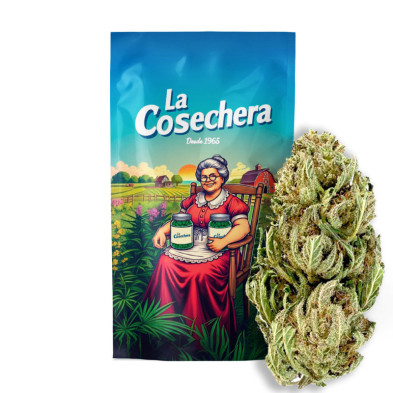 Cañamo Cbd La Cosechera Orange Cali