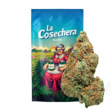 Cañamo Cbd La Cosechera White Widow