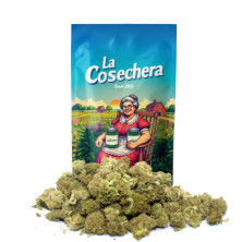 Cbd Cañamo La Cosechera Small Buds Amnesia