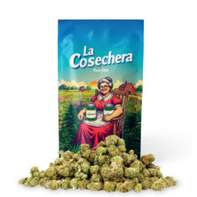Cbd Cañamo La Cosechera Small Buds Fruit Lover