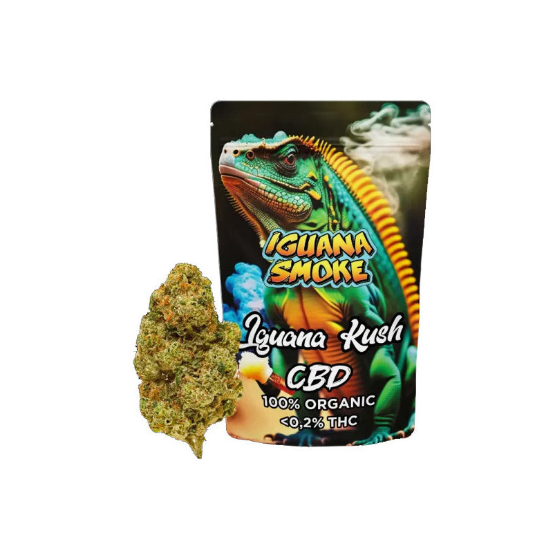 Cañamo Cbd Iguana Smoke Iguana Kush