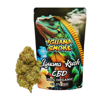 Cañamo Cbd Iguana Smoke Iguana Kush