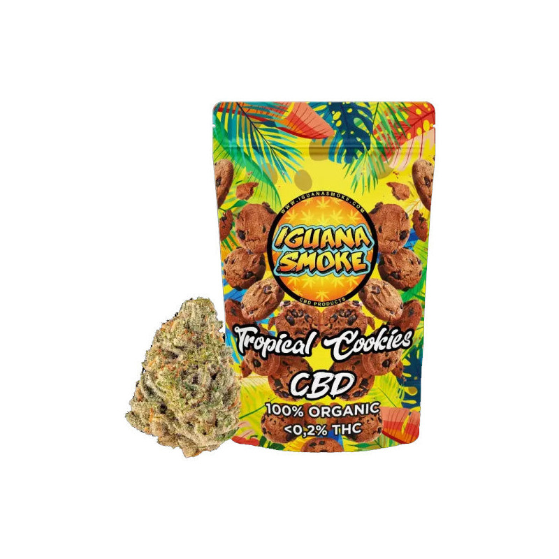 Cañamo Cbd Iguana Smoke Tropical Cookies