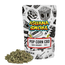 Cañamo Cbd Iguana Smoke Small Buds Pop Corn