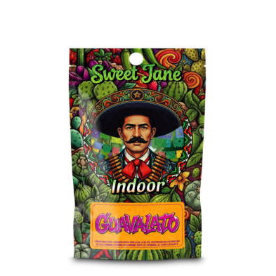 CBD Sweet Jane Indoor Guavalato