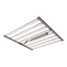 Sistema LED Spider King 1000W Vanguard