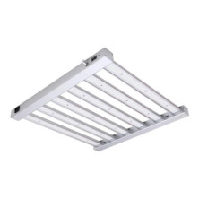 Sistema LED Spider King 360W Vanguard