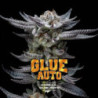 Auto Gorilla Glue de BSF Seeds