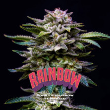 Gorilla Rainbow de BSF Seeds
