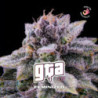 GTA de BSF Seeds
