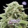 Moby-D de BSF Seeds