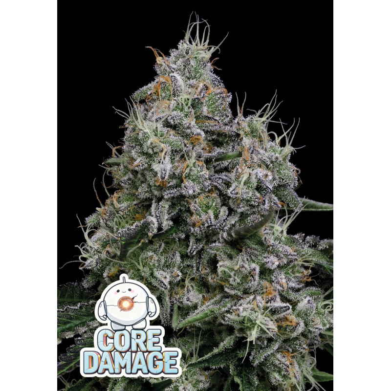 Core Damage de Anesia Seeds